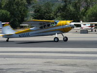 N195SE @ SZP - Cessna 195 BUSINESSLINER, Jacobs R-755 300 Hp, landing roll Rwy 22 - by Doug Robertson