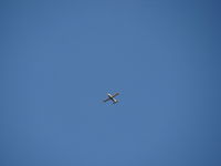 CS-DDK @ LPPR - Socata TB-20 Trinidad GT passing over my house, going to porto airport - by ze_mikex