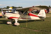 N5337H @ OSH - 1949 Piper PA-16, c/n: 16-143 - by Timothy Aanerud