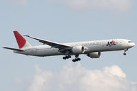 JA734J @ EDDF - Japan Airlines 777-300