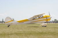 N195AB @ KOSH - T - by Todd Royer