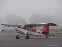 N617MA @ O69 - Southern California-based 2003 American Champion Aircraft 8GCBC SCOUT visiting - foggy morning - by Steve Nation