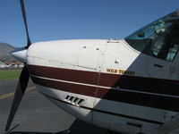 N9782G @ SZP - 1972 Cessna 180H SKYWAGON 'Wild Turkey', Continental O-470 230 Hp - by Doug Robertson