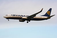 EI-DLB @ EGGP - Ryanair - by Chris Hall