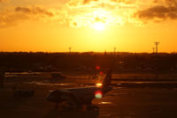 VP-BRY @ DUS - Aeroflot Airbus A320-214 - by Joker767