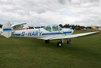 G-HARY @ EGSX - Visitor to the 2009 Air Britain fly-in. - by MikeP