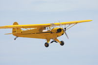 N2207M @ KLPC - Lompoc Piper Cub fly-in 09' - by Nick Taylor Photography