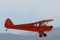 N33029 @ KLPC - Lompoc Piper Cub fly-in 09' - by Nick Taylor Photography