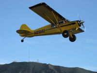 N89HU @ SZP - 2009 Aviat A-1C 200 HUSKY, Lycoming IO-360-A1D6 200 Hp, oversize tires, takeoff climb Rwy 22 - by Doug Robertson