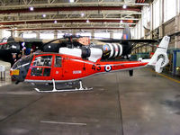 XX431 @ EGOS - former Royal Navy Gazelle HT.2 displayed at RAF Shawbury - by Chris Hall
