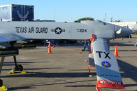07-0224 @ EFD - USAF MQ-1B Predator at the 2009 Wings Over Houston Airshow - by Zane Adams