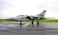 ZE811 @ EGXW - Panavia Tornado F3 at RAF Waddington's Photocall 94. - by Malcolm Clarke