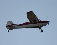 N1720D @ LAL - Cessna 170A - by Florida Metal
