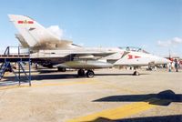 ZG796 @ EGVA - Tornado F.3, callsign Triplex, of 5 Squadron on display at the 1995 Intnl Air Tattoo at RAF Fairford. - by Peter Nicholson