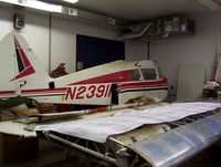 N2391P - plane is being restored - by Robert Oberholtzer