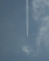 UNKNOWN @ CONTRAIL - In Flight over the Faget forest - by Claus