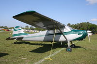 N8081A @ KLAL - Cessna 170B - by Mark Pasqualino