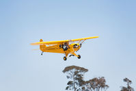 N73BB @ KLPC - Landing West Coast Cub Fly-in 2009 Lompoc - by Mike Madrid