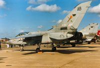 ZE253 @ MHZ - Tornado F.3 of 229 Operational Conversion Unit on display at the 1990 RAF Mildenhall Air Fete. - by Peter Nicholson