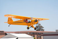 N42144 @ KLPC - At West Coast Cub Fly-in 2009 Lompoc - by Mike Madrid