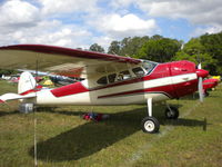 N195HJ @ KLAL - 1952 Cessna 195B, c/n: 7880 - by MustangoRP