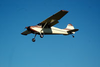 N1946C @ S50 - Looks much like a Cessna Bird Dog - by Wolf Kotenberg