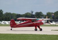 N71968 @ KOSH - Luscombe 8A - by Mark Pasqualino