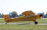 N2207M @ KOSH - Piper J3C-65 - by Mark Pasqualino