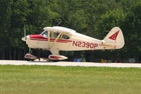 N2390P @ OSH - Departing Airventure 2010 - Oshkosh, Wisconsin - by Bob Simmermon