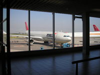 N815NW @ EHAM - View from the departure hall - by Henk Geerlings
