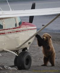 N6405X @ PAHO - Hallo Bay Alaska Flown by Scooter Mainero - by Joseph Robertia