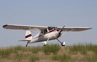 N3600V @ 6V4 - Cessna 140 - by Mark Pasqualino
