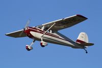 N5669C @ KSPF - Cessna 140A - by Mark Pasqualino