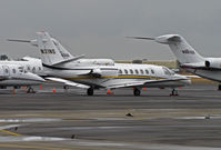 N31NS @ KAPC - Nose Cone Acquisitions (Concord, CA) 1994 Cessna 560 on Bizjet ramp (new colors) - by Steve Nation