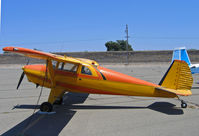 N2472K @ O52 - Locally-based 1947 Luscombe 8E at Yuba City, CA - by Steve Nation