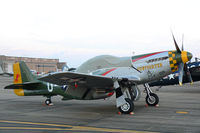 N5428V @ EFD - CAF P-51 Gunfighter At the 2010 Wings Over Houston Airshow