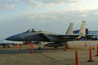 82-0047 @ EFD - At the 2010 Wings Over Houston Airshow