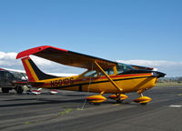 N501DS @ O69 - Colorful or what? I get the feeling the owner if from Belgium (flag colors match)! 1966 Cessna 182J @ Petaluma, CA - by Steve Nation