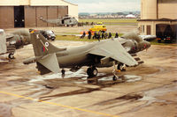ZD347 @ EGVA - Harrier GR.5, callsign Wildcat 2, of RAF Wittering's 20[Reserve] Squadron on the flight-line at the 1993 Intnl Air Tattoo at RAF Fairford. - by Peter Nicholson