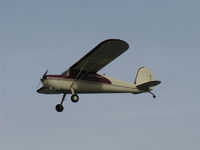 N77275 @ SZP - 1946 Cessna 140, Continental C85 85 Hp, landing Rwy 22 - by Doug Robertson