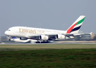 A6-EDG @ EGCC - Emirates - by Shaun Connor
