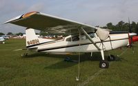 N481H @ KLAL - Cessna 185