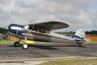 N9895A @ KLAL - Cessna 195A - by Mark Pasqualino