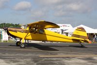 N4070V @ KLAL - Cessna 170 - by Mark Pasqualino