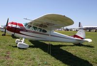 N195HA @ KLAL - Cessna 195 - by Mark Pasqualino