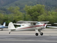 N45488 @ SZP - 1946 Luscombe 8A, Continental A&C65 65 Hp, panned shot, landing Rwy 22 - by Doug Robertson