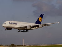 D-AIMA @ LMML - A380 D-AIMA Lufthansa - by raymond