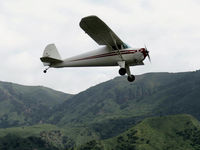 N45488 @ SZP - 1946 Luscombe 8A, Continental A&C65 65 Hp, takeoff climb Rwy 22 - by Doug Robertson