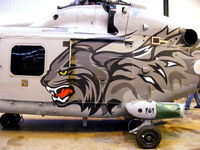 XZ250 @ EGDY - close up of the art work on the former Royal Navy 'Wildcat' display team Lynx - by Chris Hall