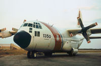 1350 @ PIE - Another view of HC-130B Hercules 1350 at USCG Station Clearwater in November 1979. - by Peter Nicholson